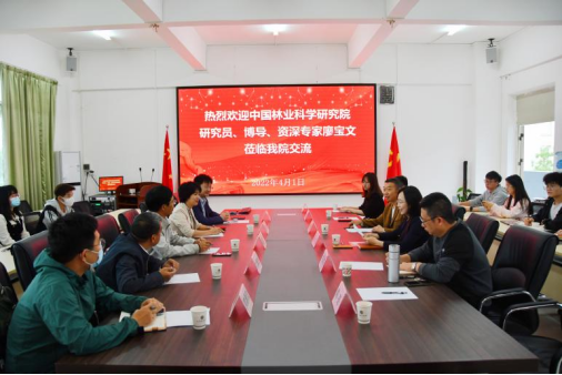 新澳门六合彩官网